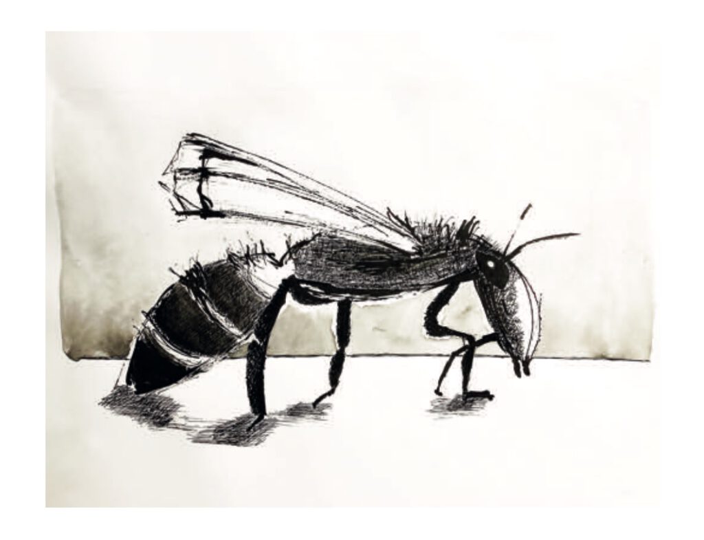 Biene II mit Feder und Tusche