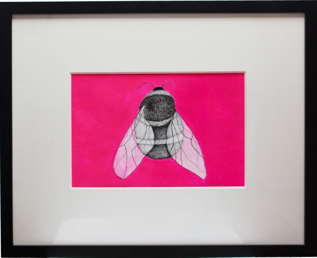 Hummel mit Feder, Tusche und Acryl