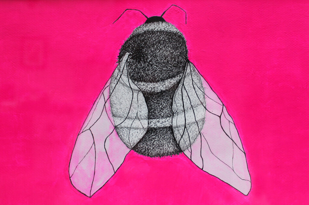 Hummel mit Feder, Tusche und Acryl