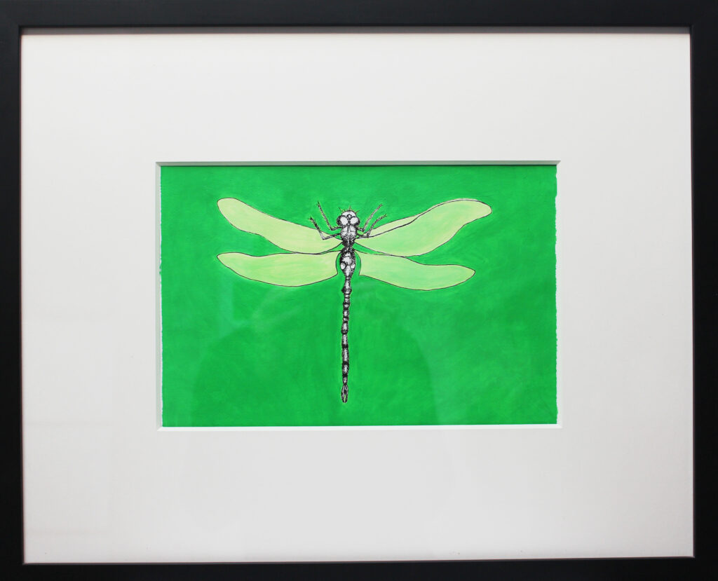 Libelle mit Feder, Tusche und Acryl
