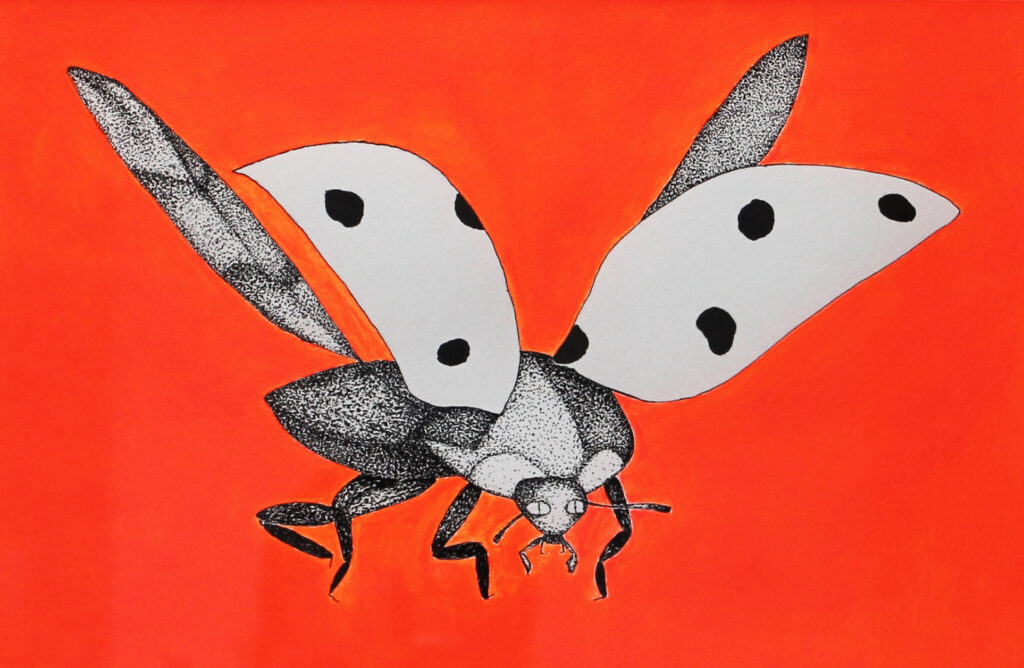 Marienkäfer mit Feder, Tusche und Acryl
