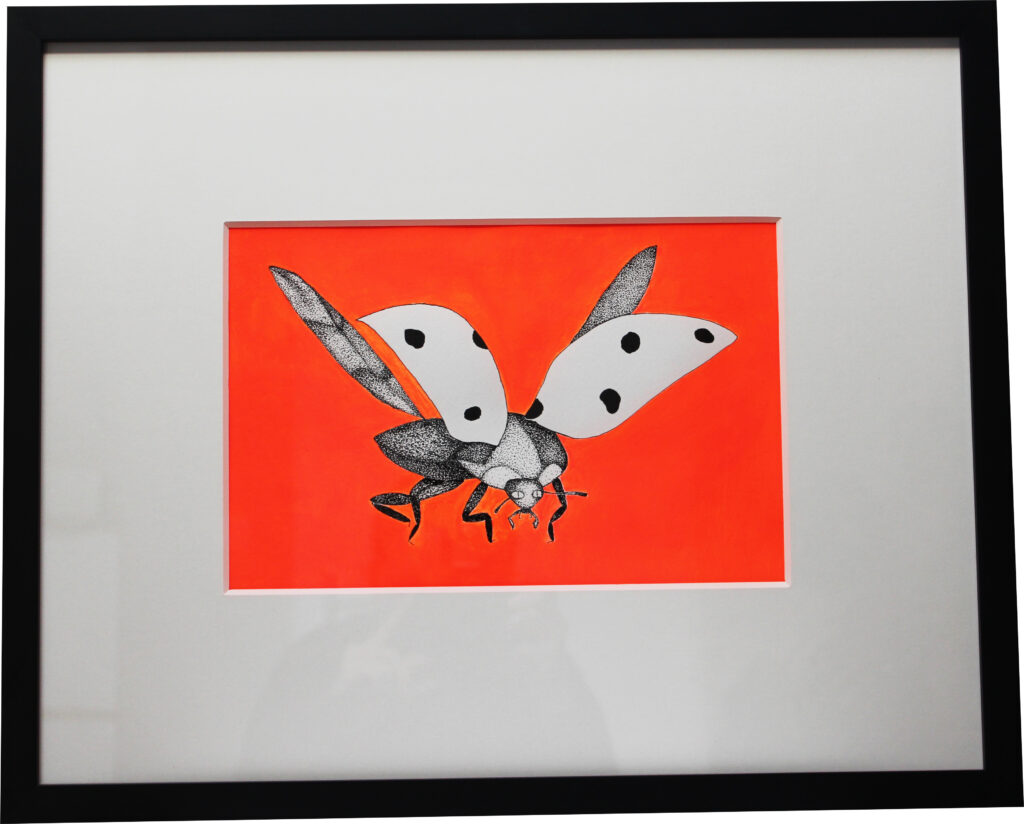 Marienkäfer mit Feder, Tusche und Acryl