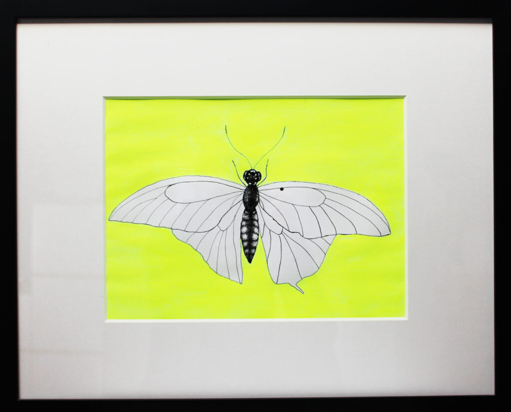 Schmetterling mit Feder, Tusche und Acryl