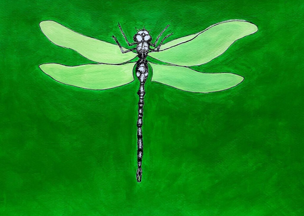 libelle