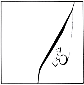 Spinne